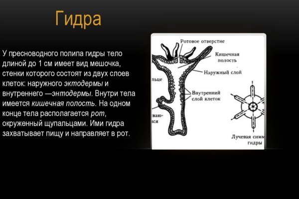 Kraken cc ссылка