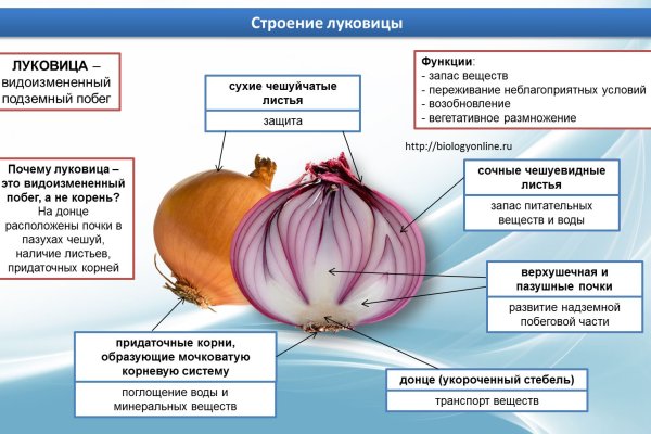 Кракен торговая площадка даркнет