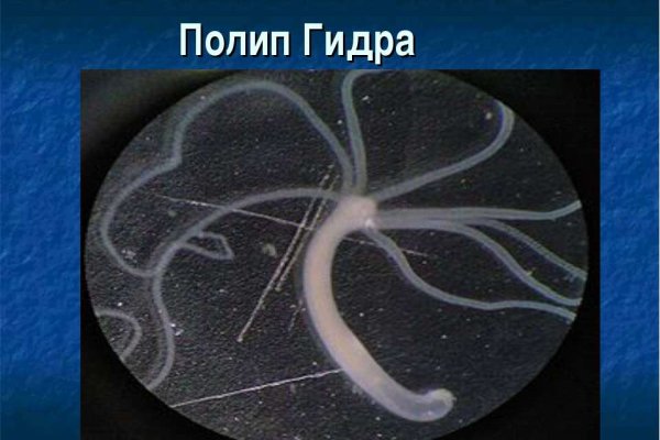 Как зарегаться в кракен