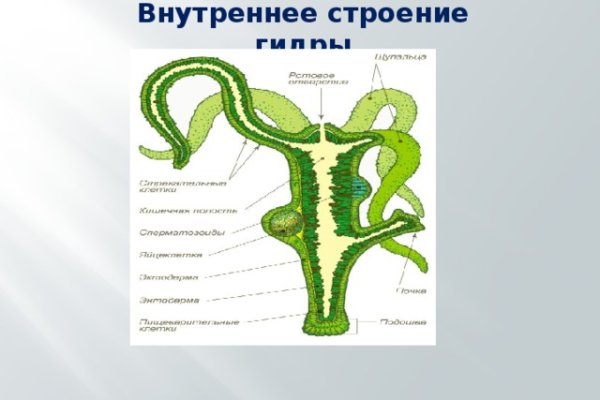 Кракена точка нет