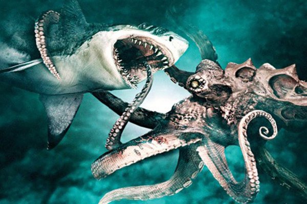 Kraken 26at