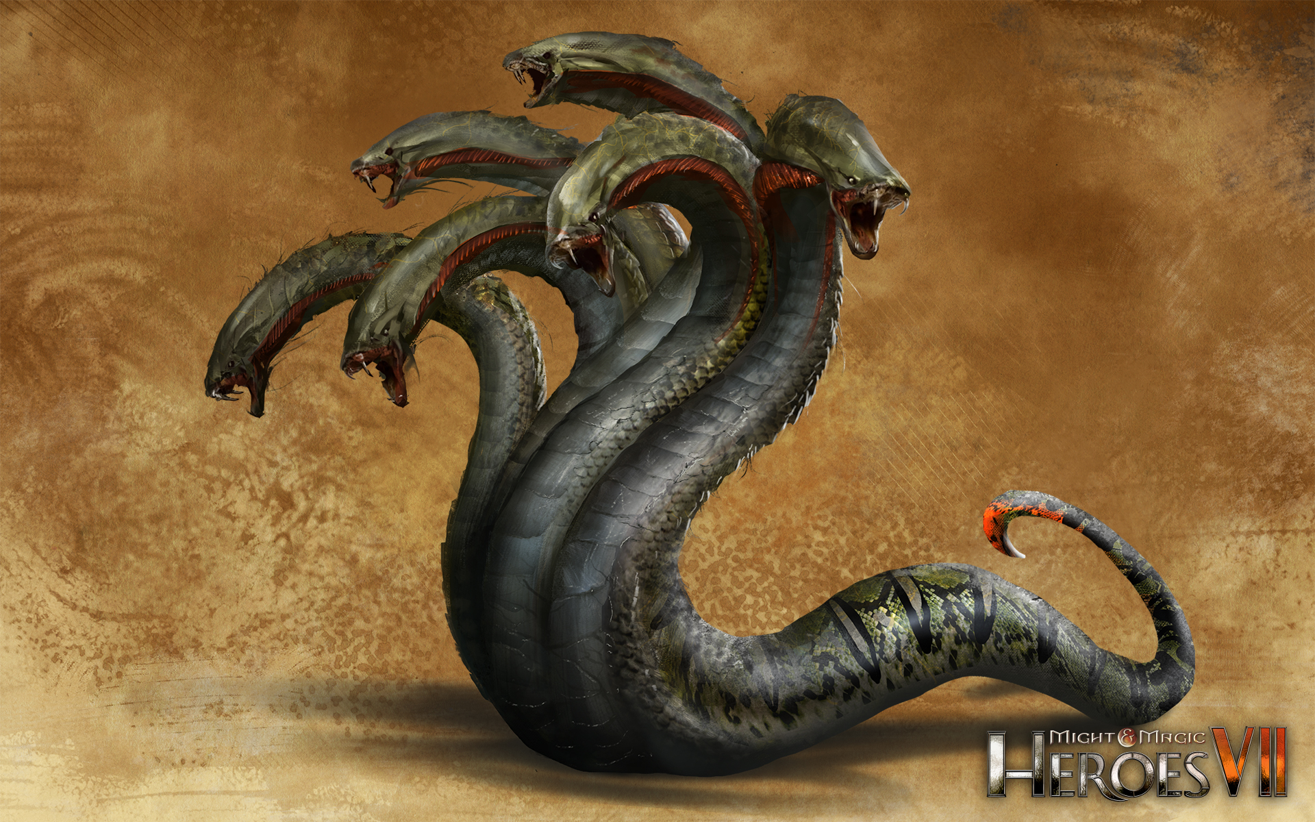 Kraken onion link